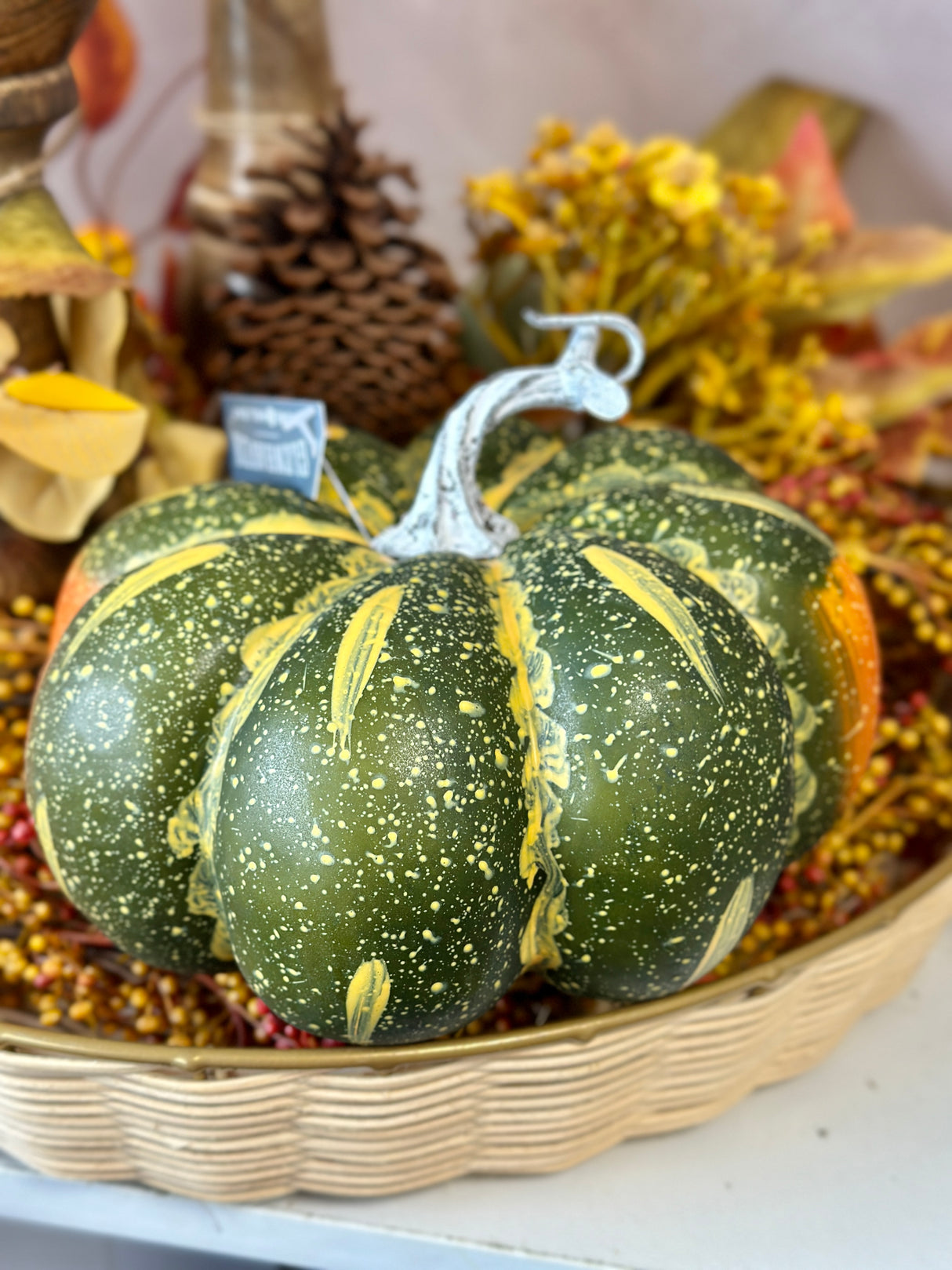 Fall Fun Green Pumpkin