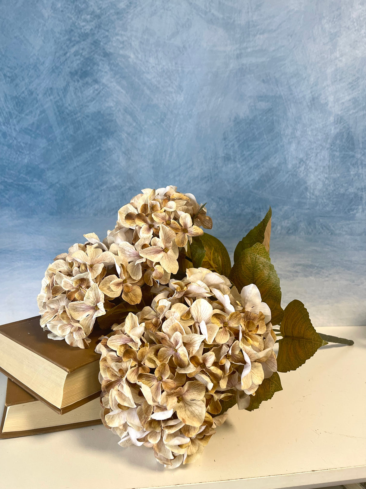 Cream Harvest Hydrangea Bush