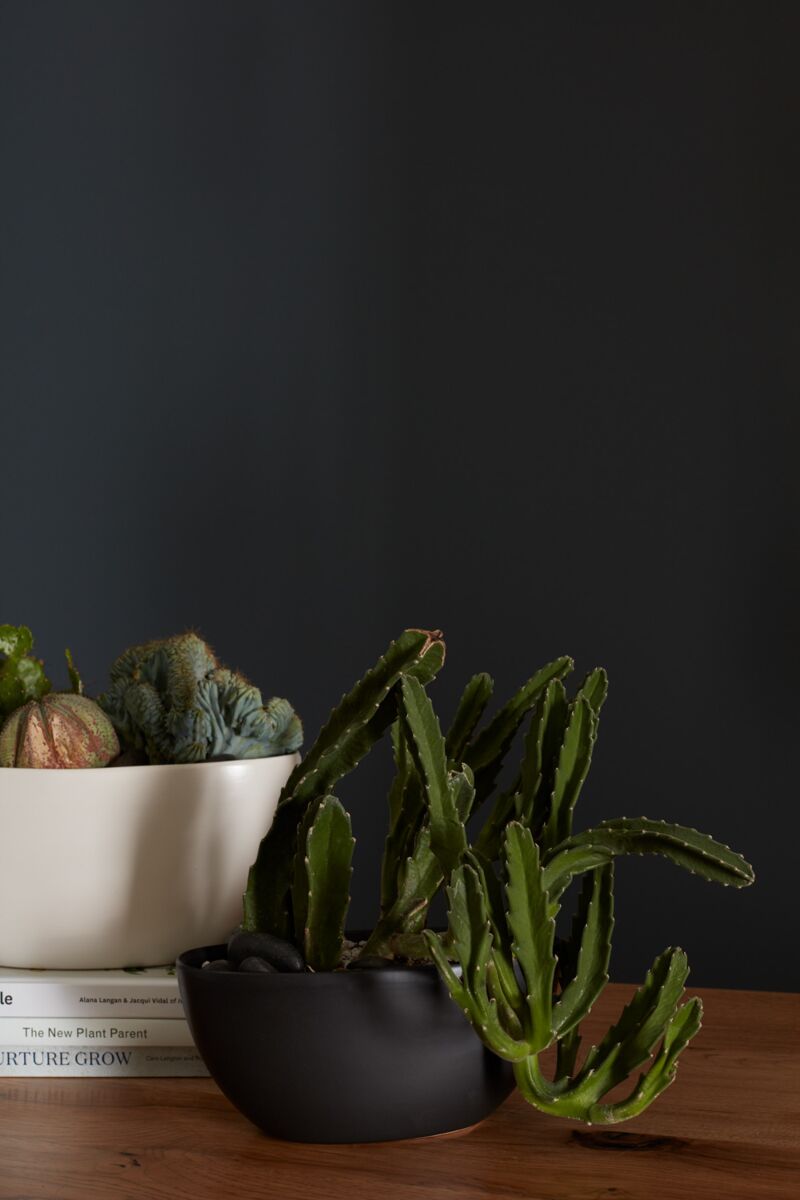 Black Metta Boat Planter -2 Sizes