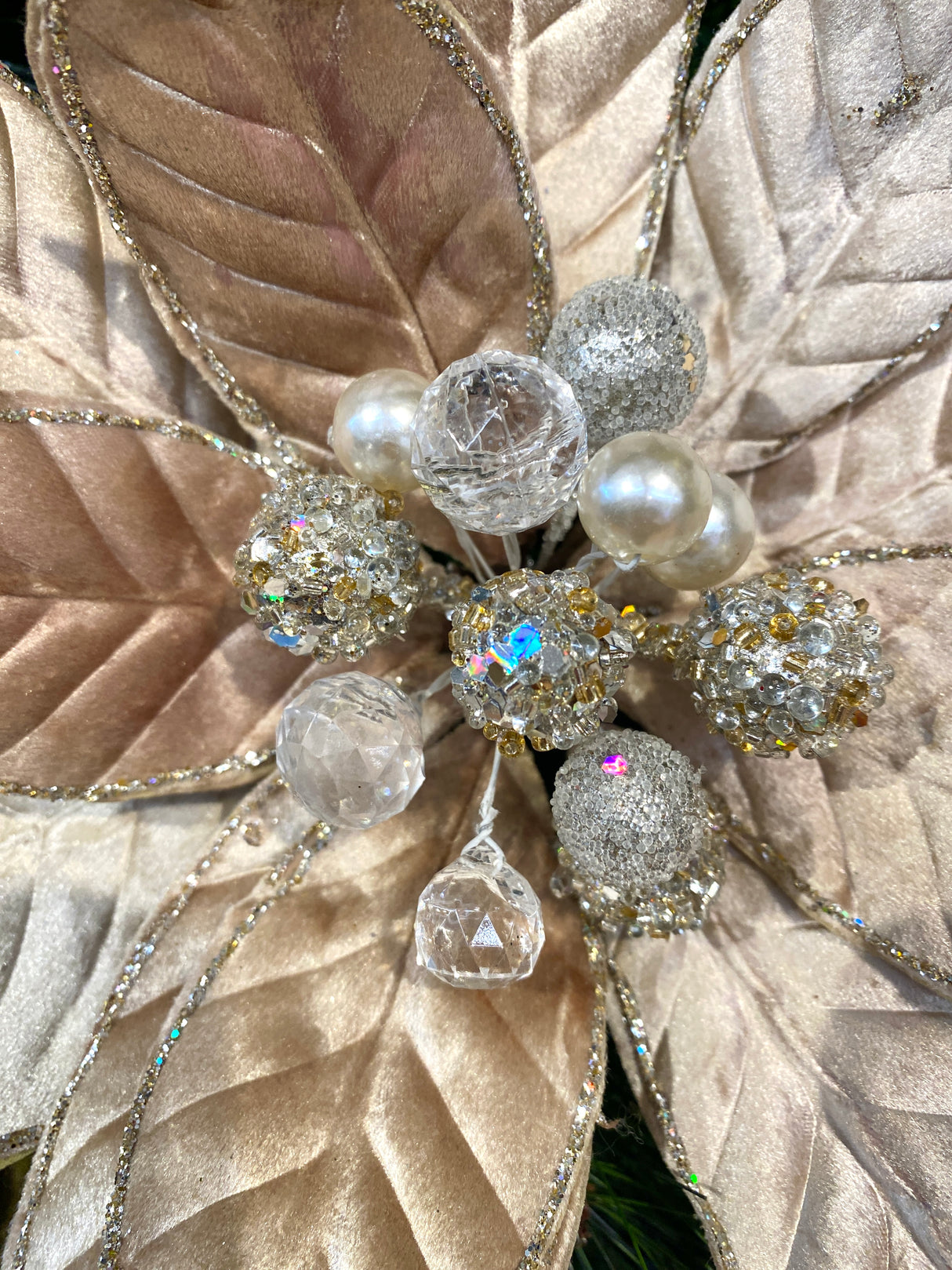 Champagne Toast Poinsettia Stem