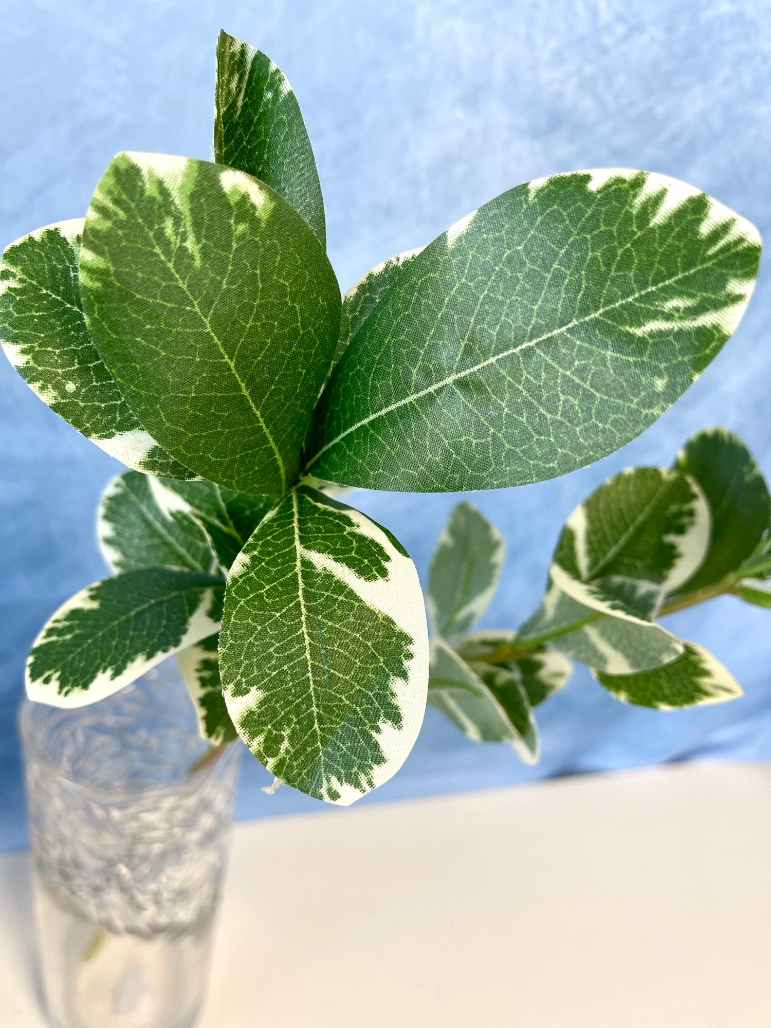 Sage Cider Gum Spray