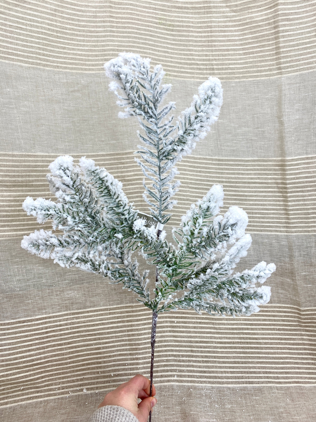 Winterfest Snowed Pine Spray