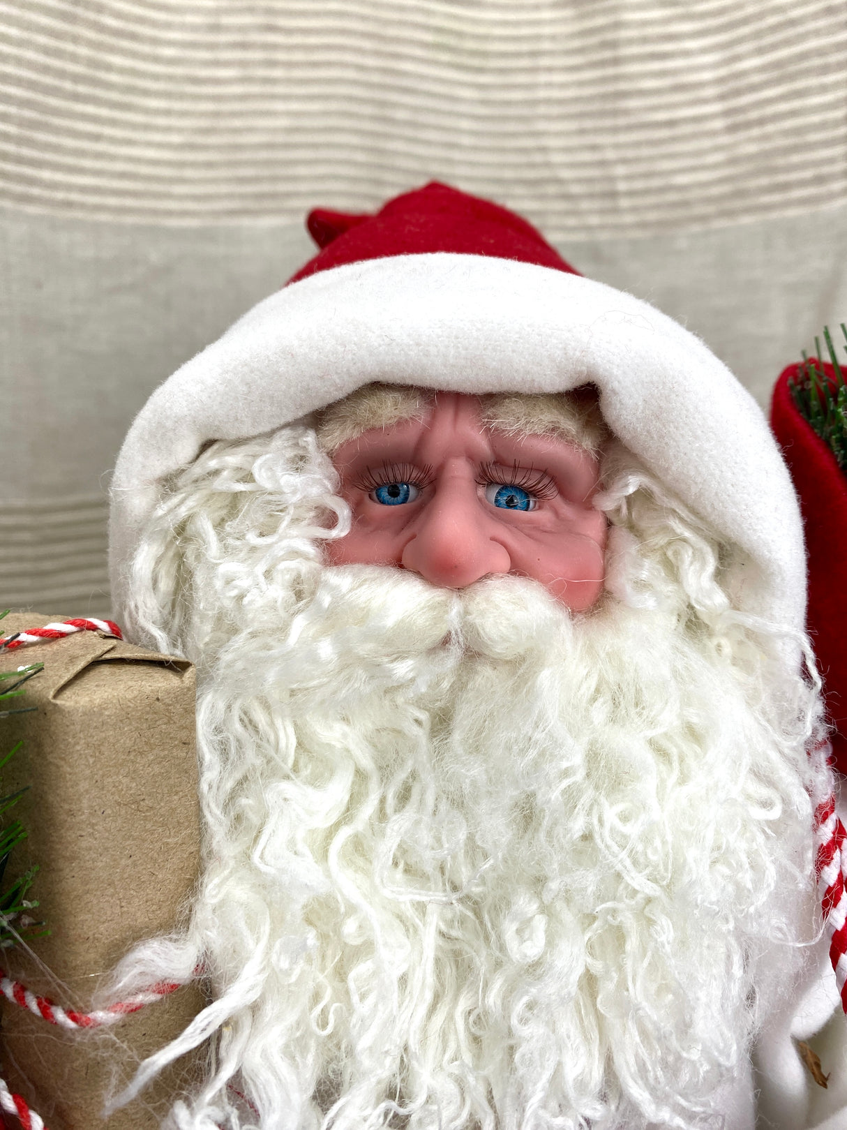 Cozy Christmas Santa