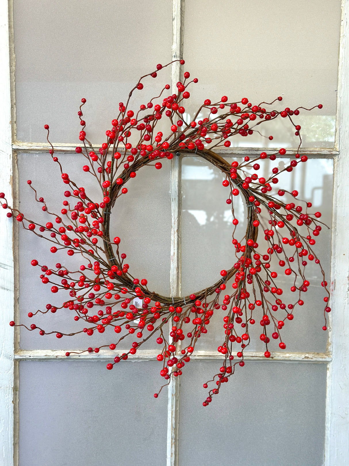 20" Filled With Wonder Berry Wreath