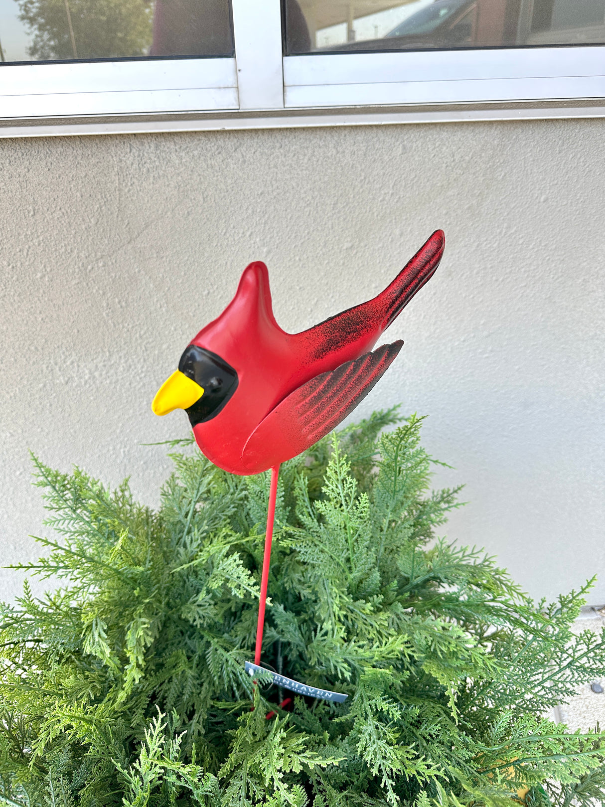Red Cardinal Stake