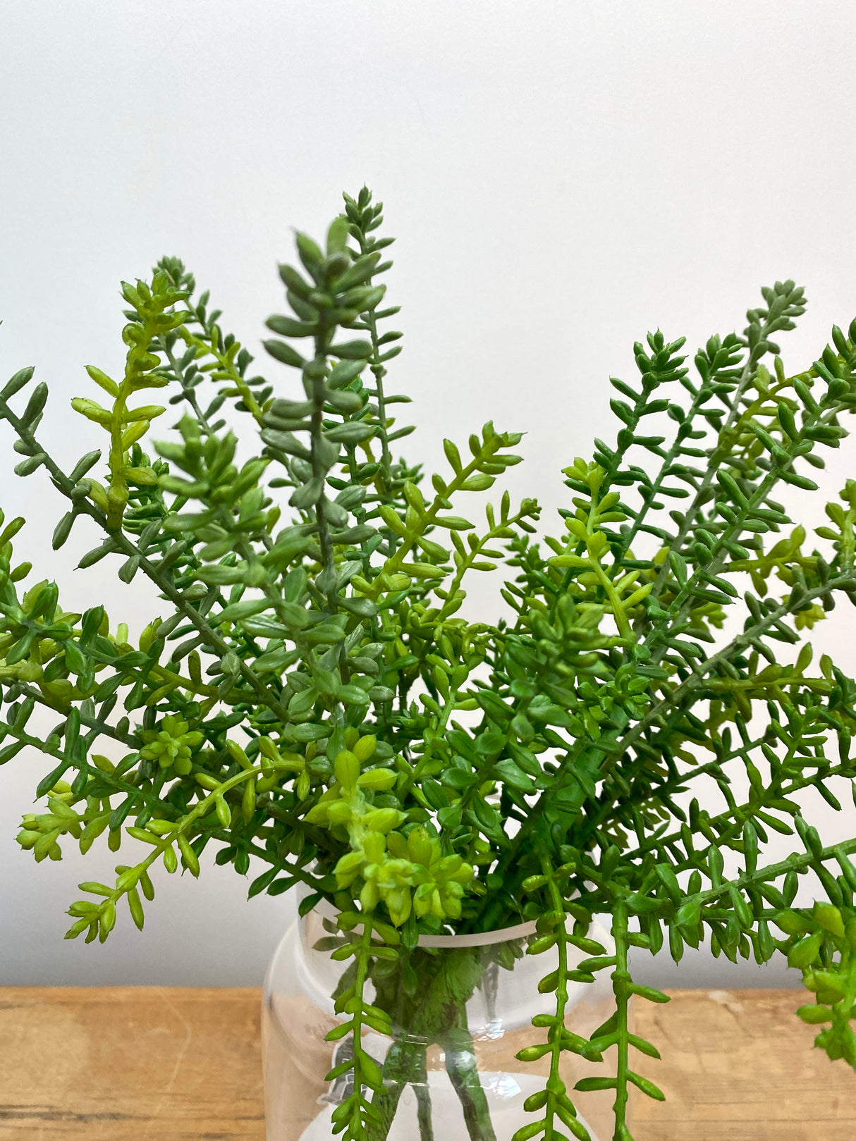 Green Journey Sedum Spray
