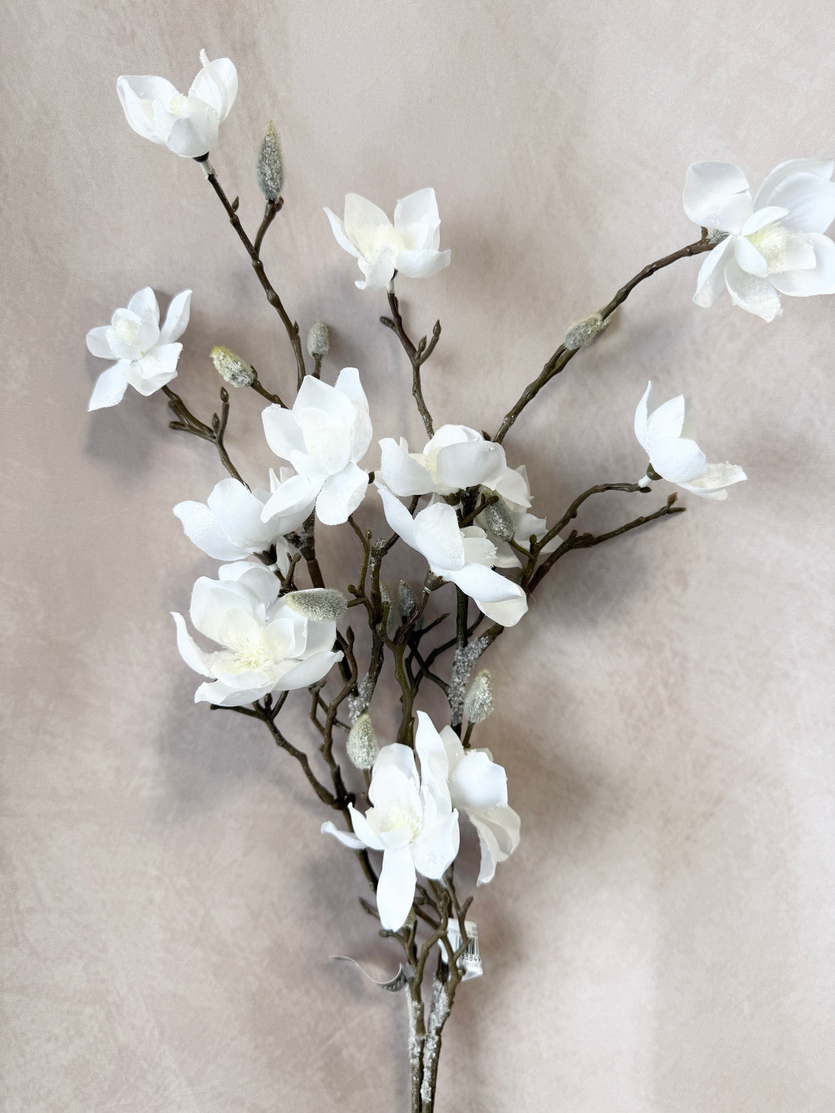 Cream Frosted Mini Magnolia Spray