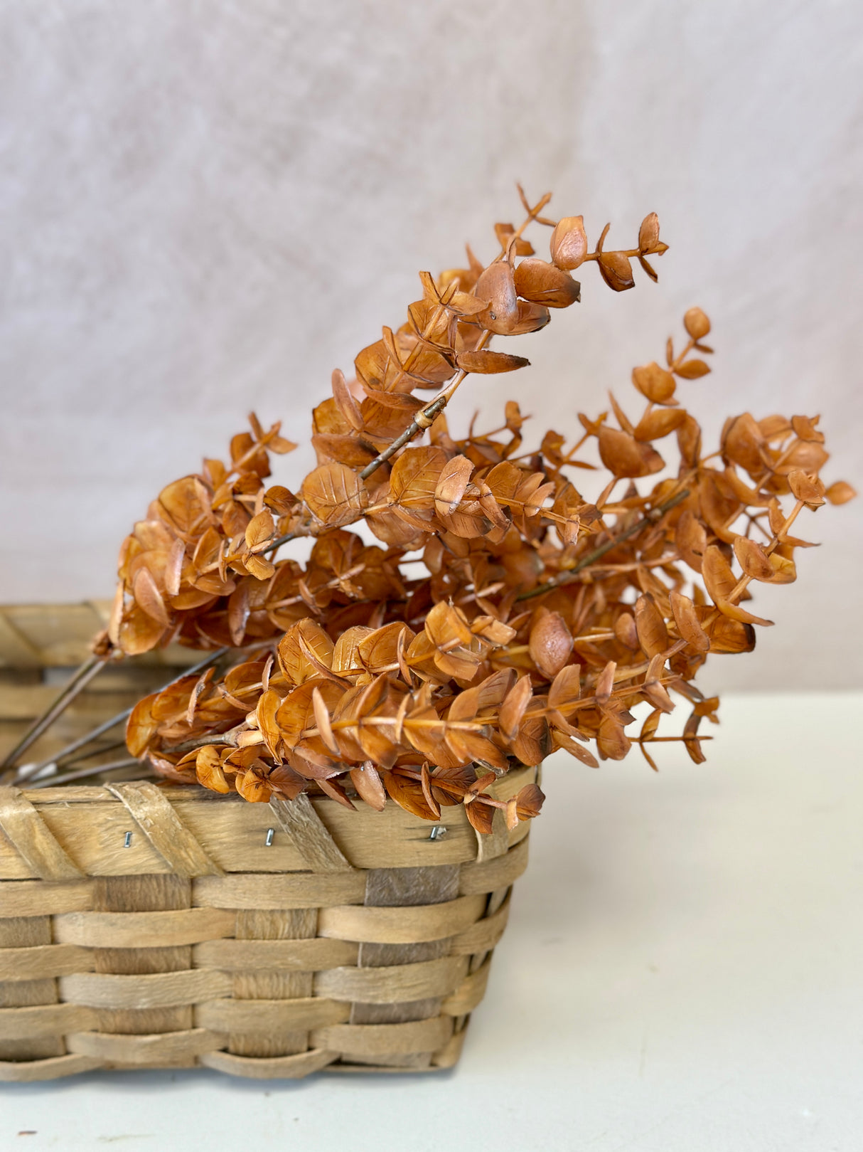 Cinnamon Spice Eucalyptus Bush