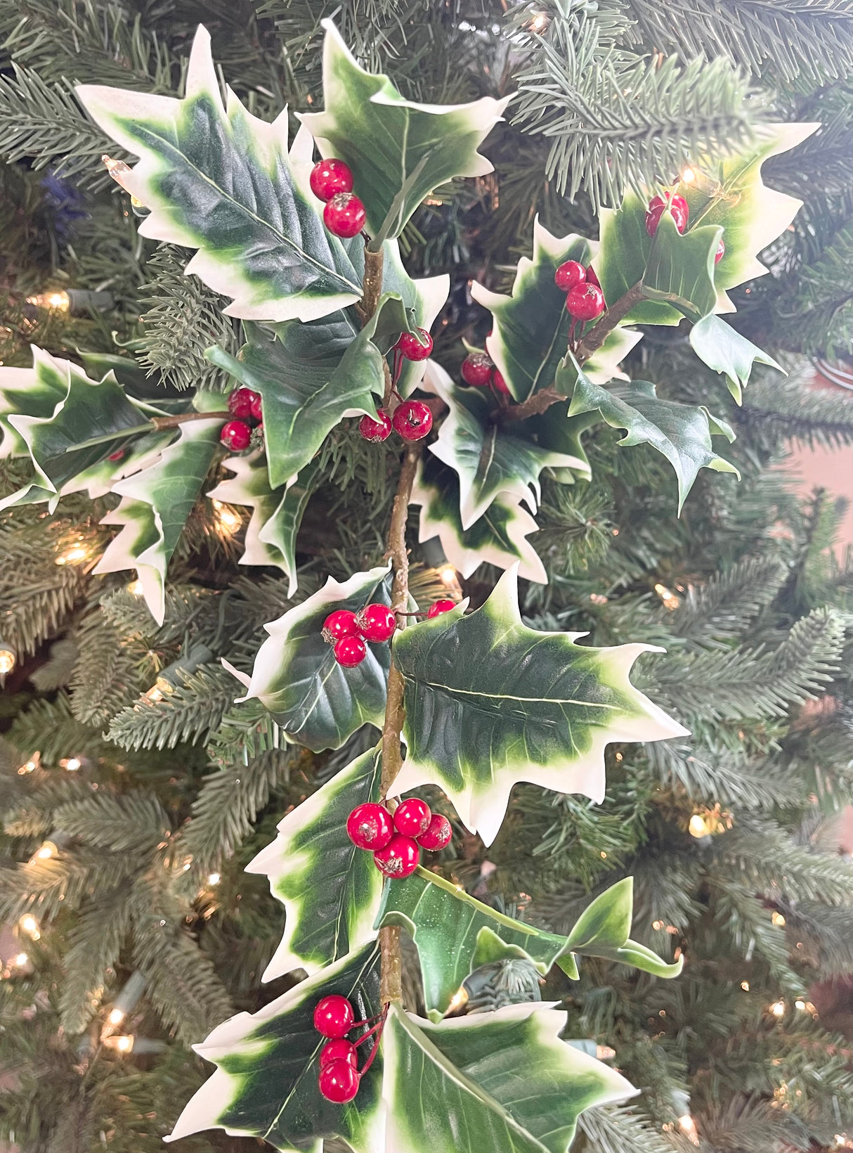 Variegated Burford Holly Spray