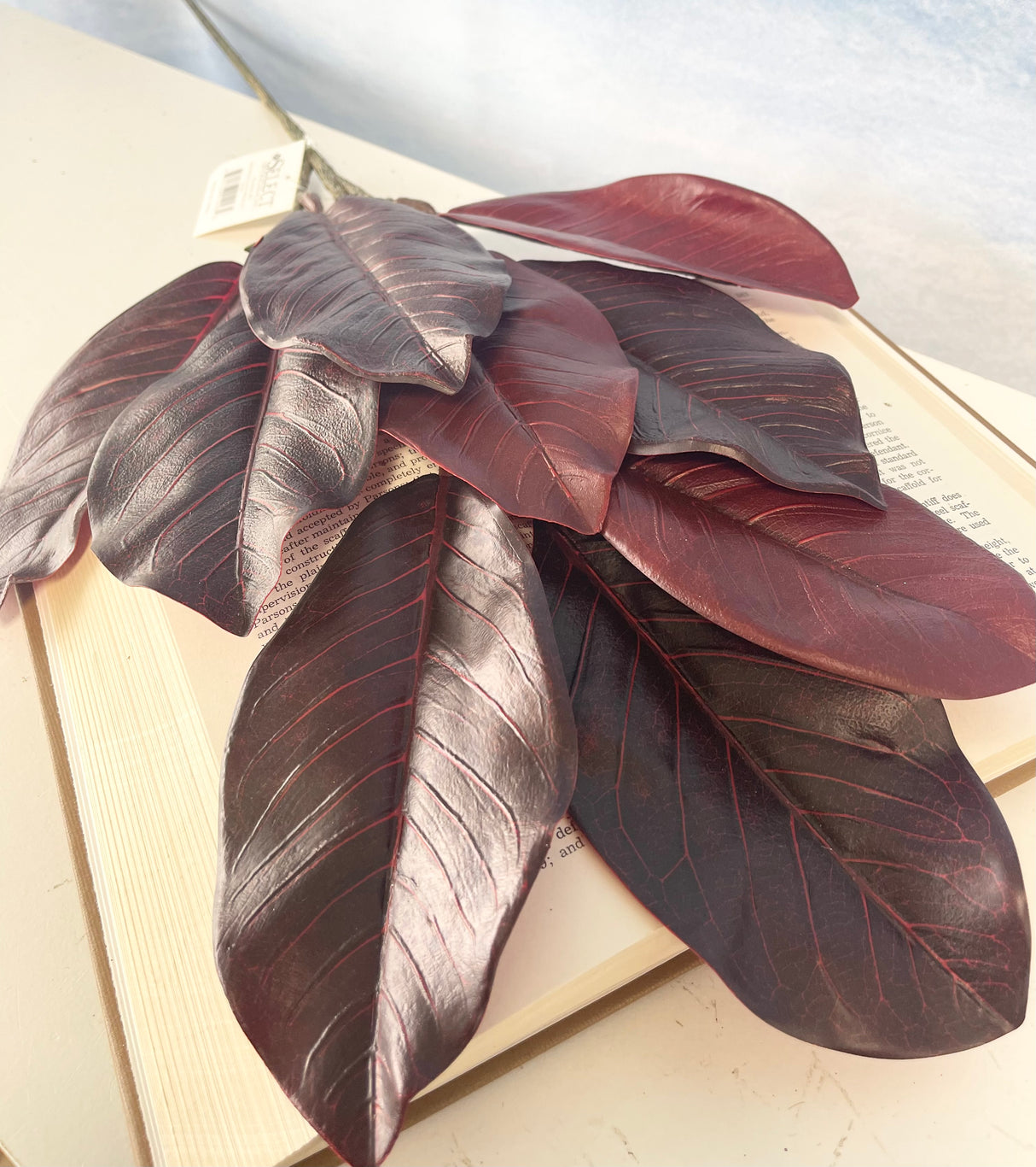 Burgundy Magnolia Leaf Spray