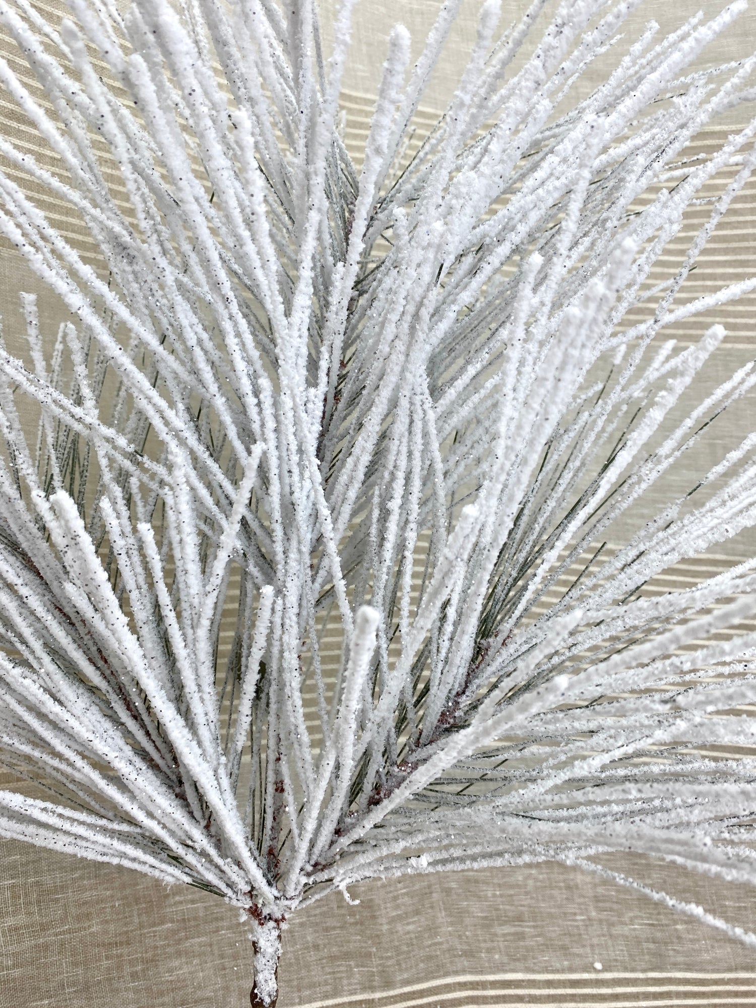 Powerdered Snow Long Needle Pine Spray