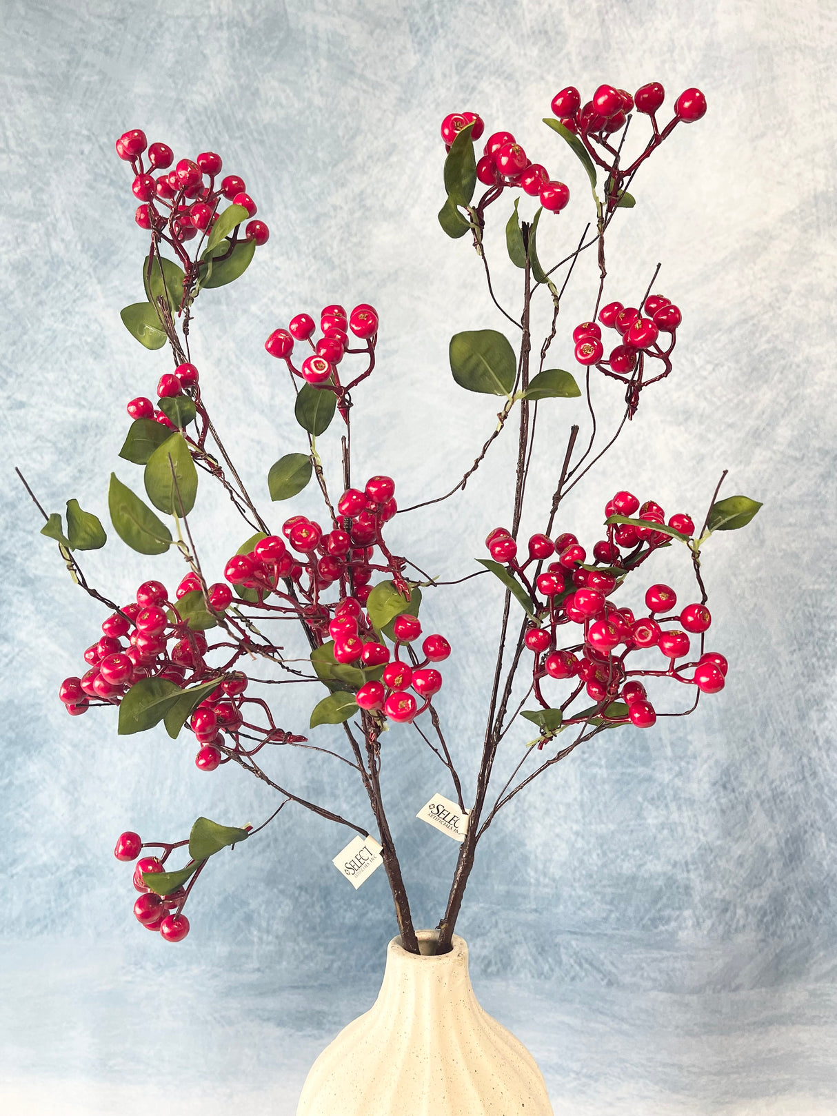 Red Hawthorn Berry Spray