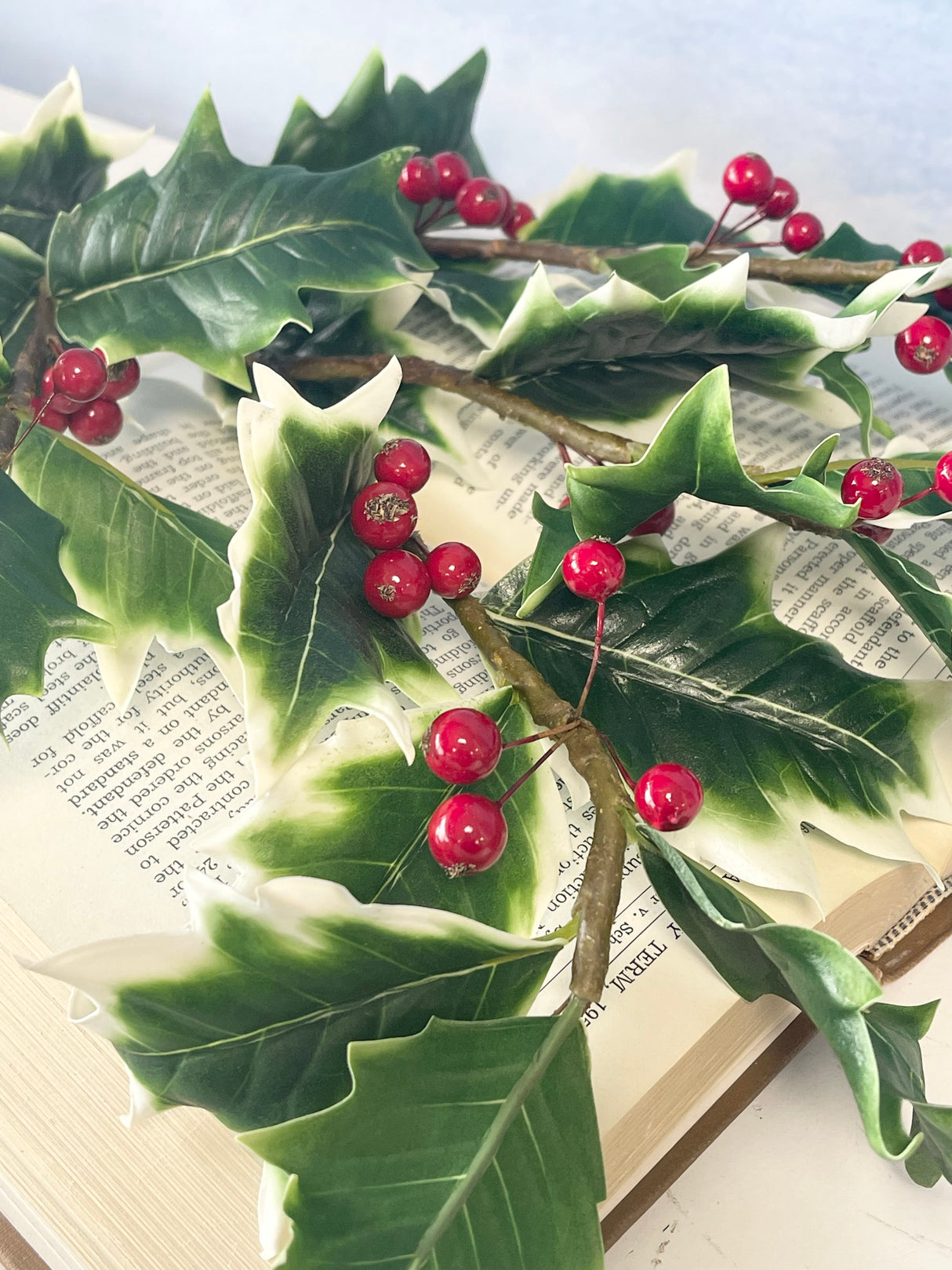 Variegated Burford Holly Spray