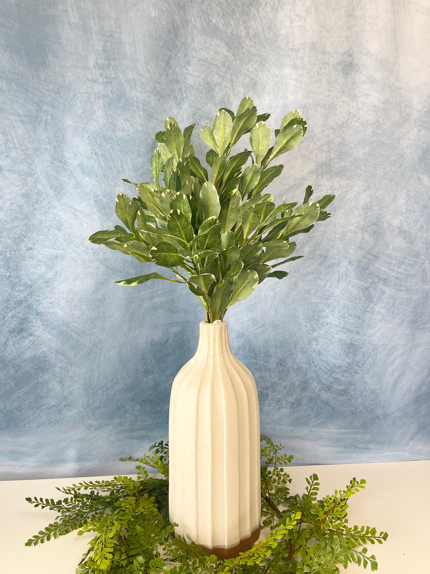 Pittosporum Spray