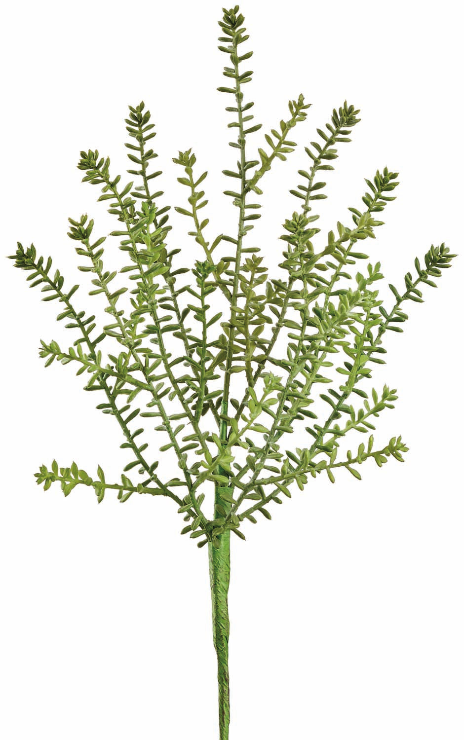 Green Journey Sedum Spray