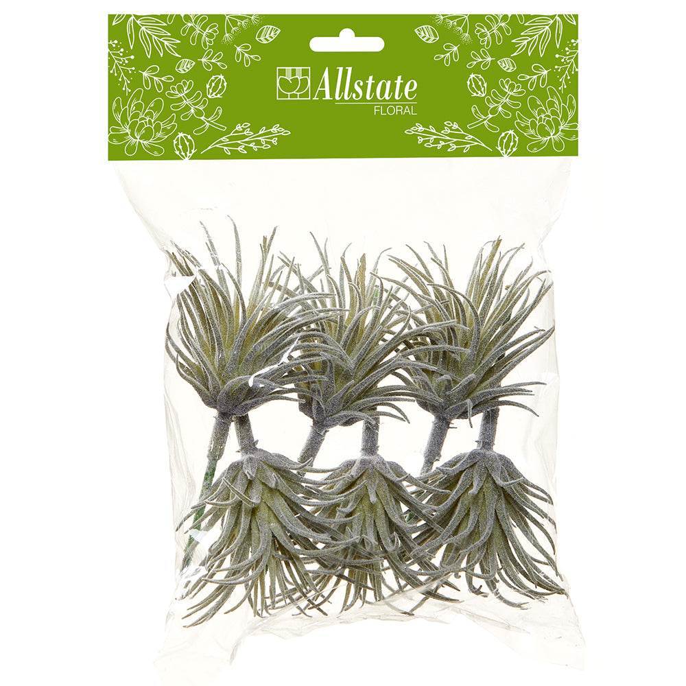 Dusty Green Mini Tillandisa Pick Set of 6
