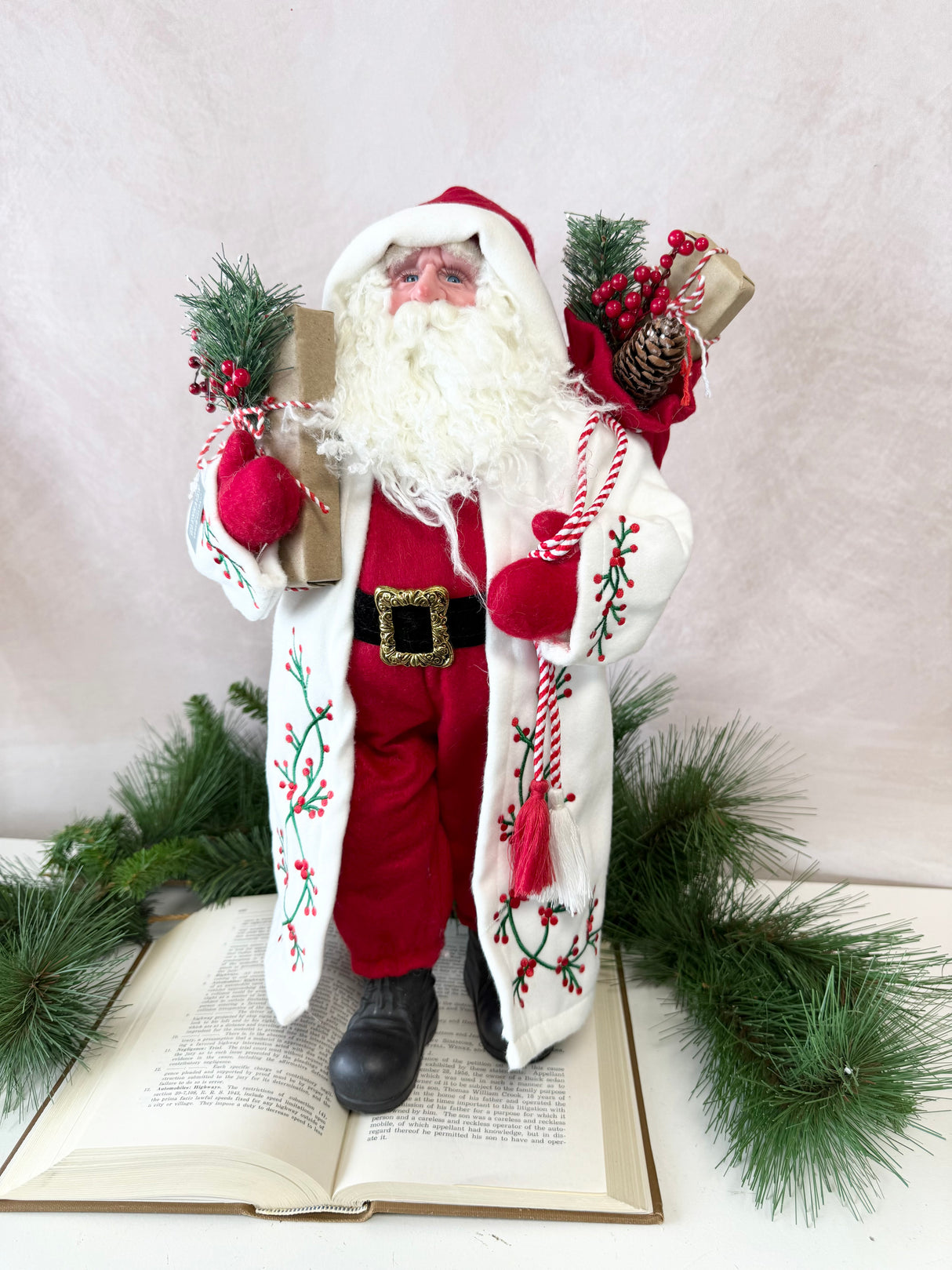 Cozy Christmas Santa