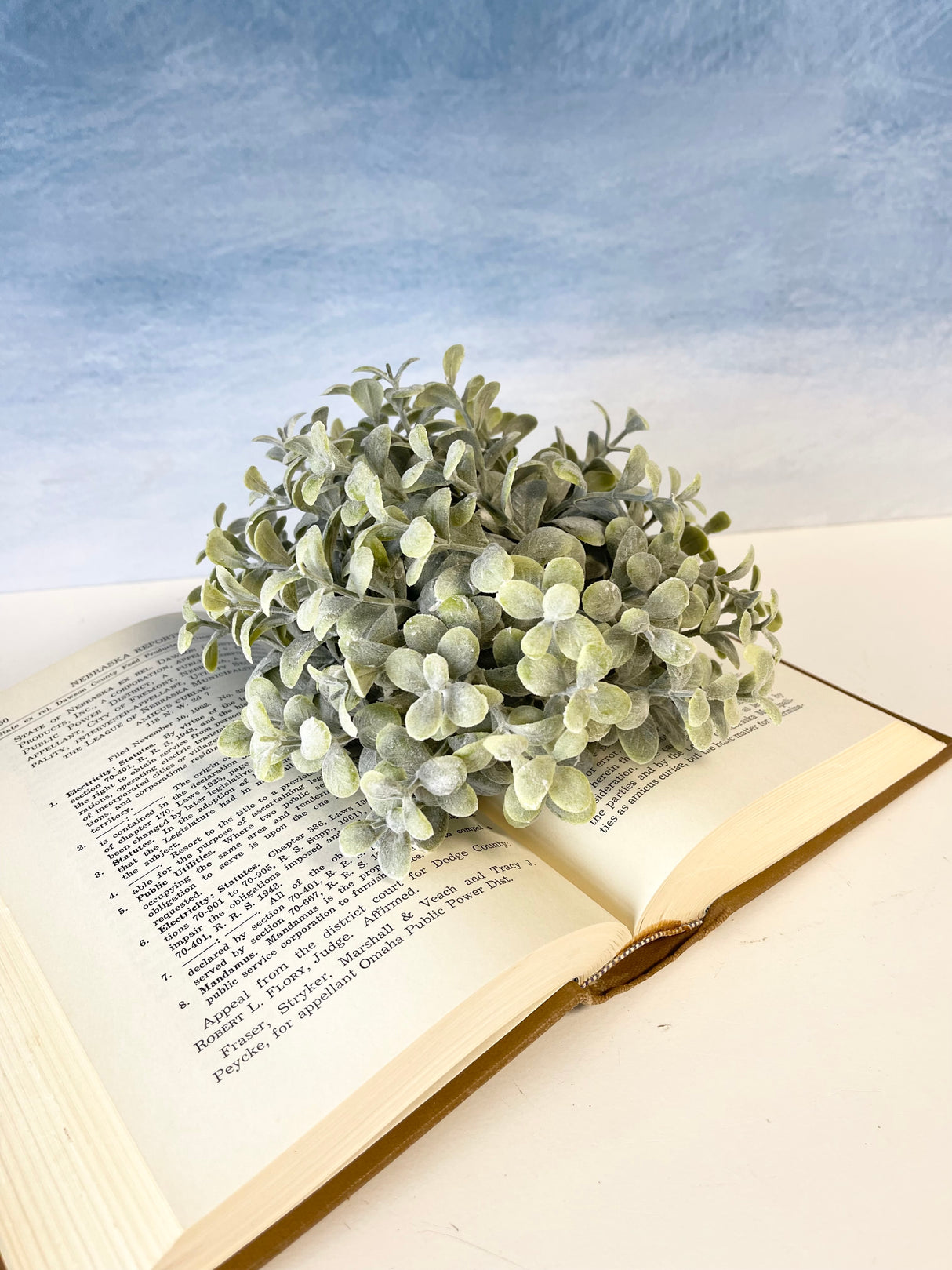 Pebble Eucalyptus Half Sphere