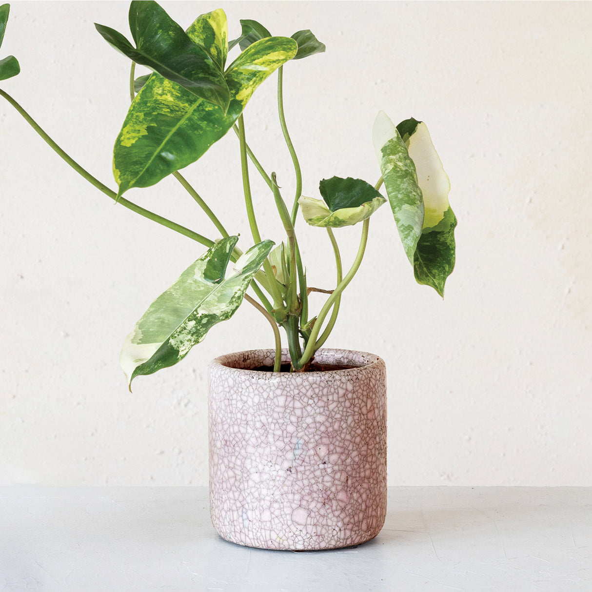 Pink Terracotta Planter