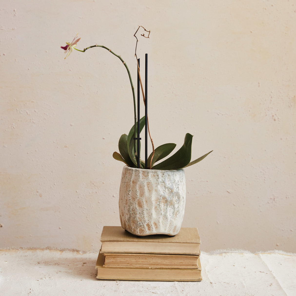 Reactive Glaze Terra-cotta Planter