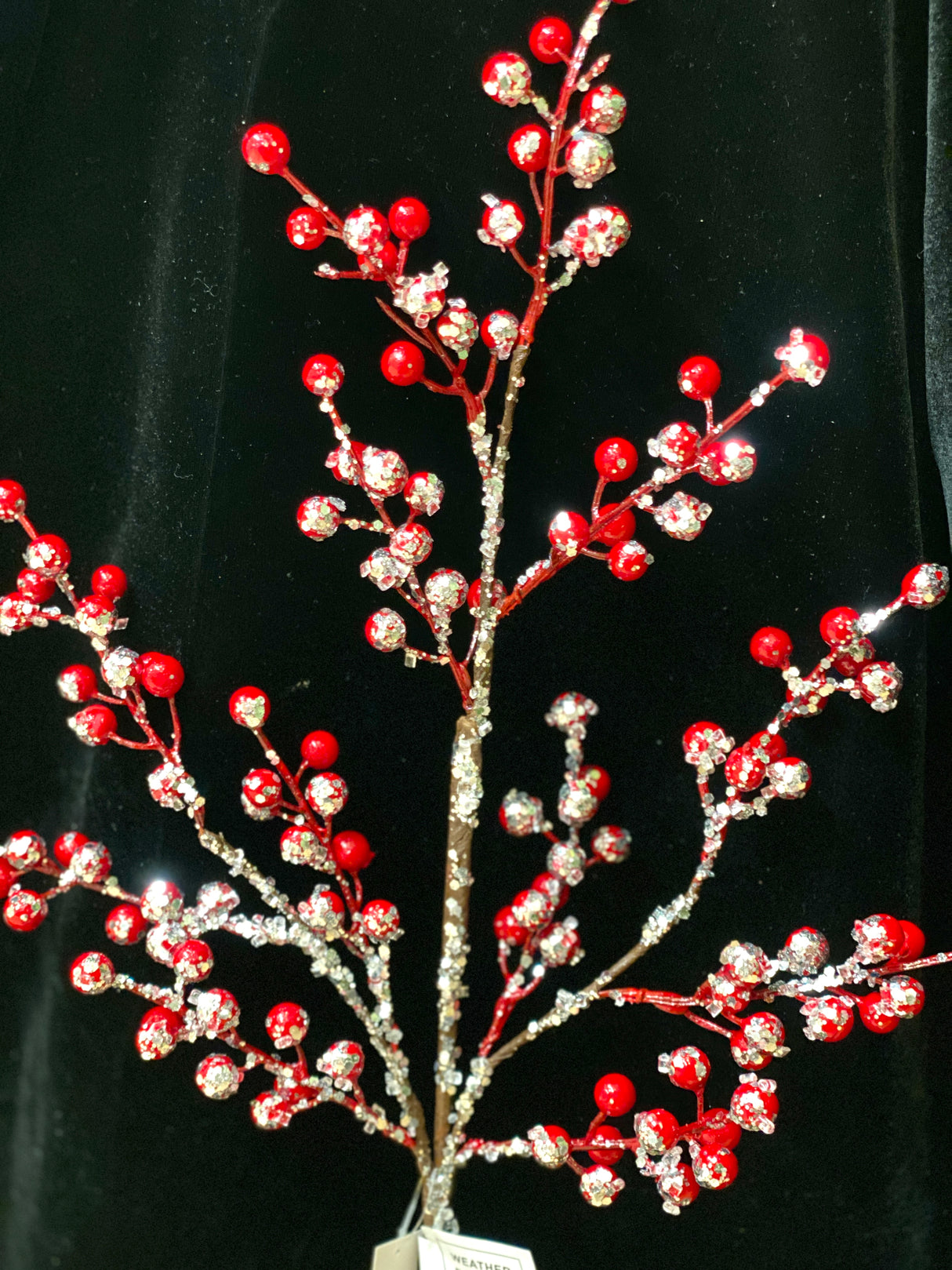 Iced Morning Berry Spray