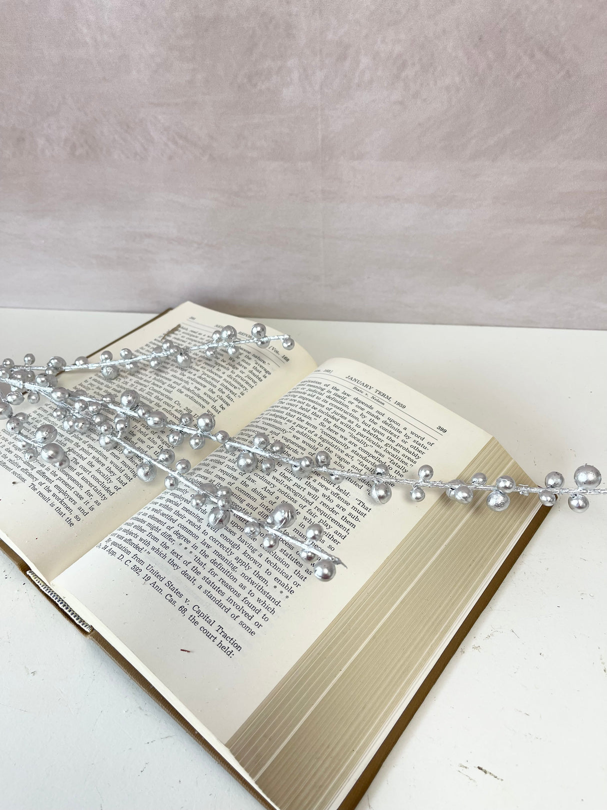 Freezing Silver Berry Stem