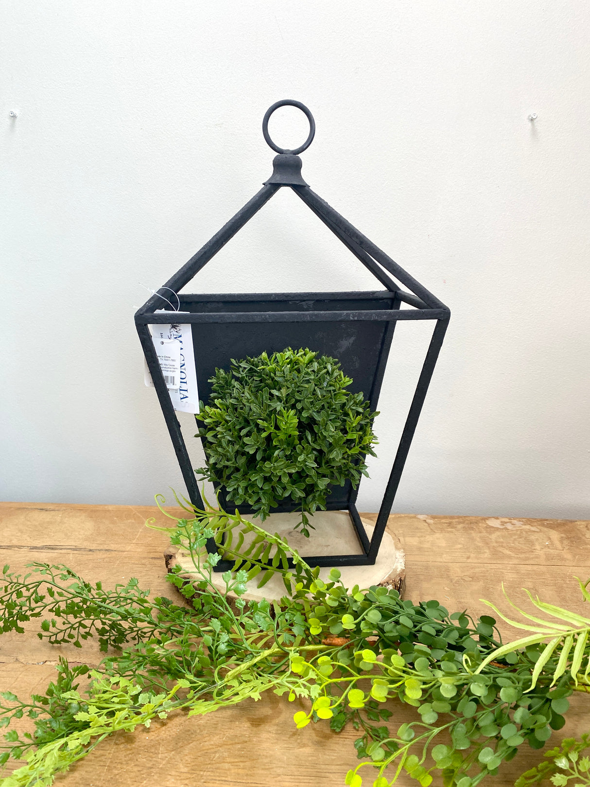 New England Boxwood Half Sphere