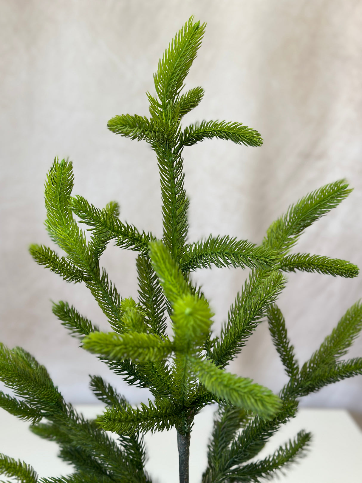 48" Potted Real Touch Norway Spruce Tree