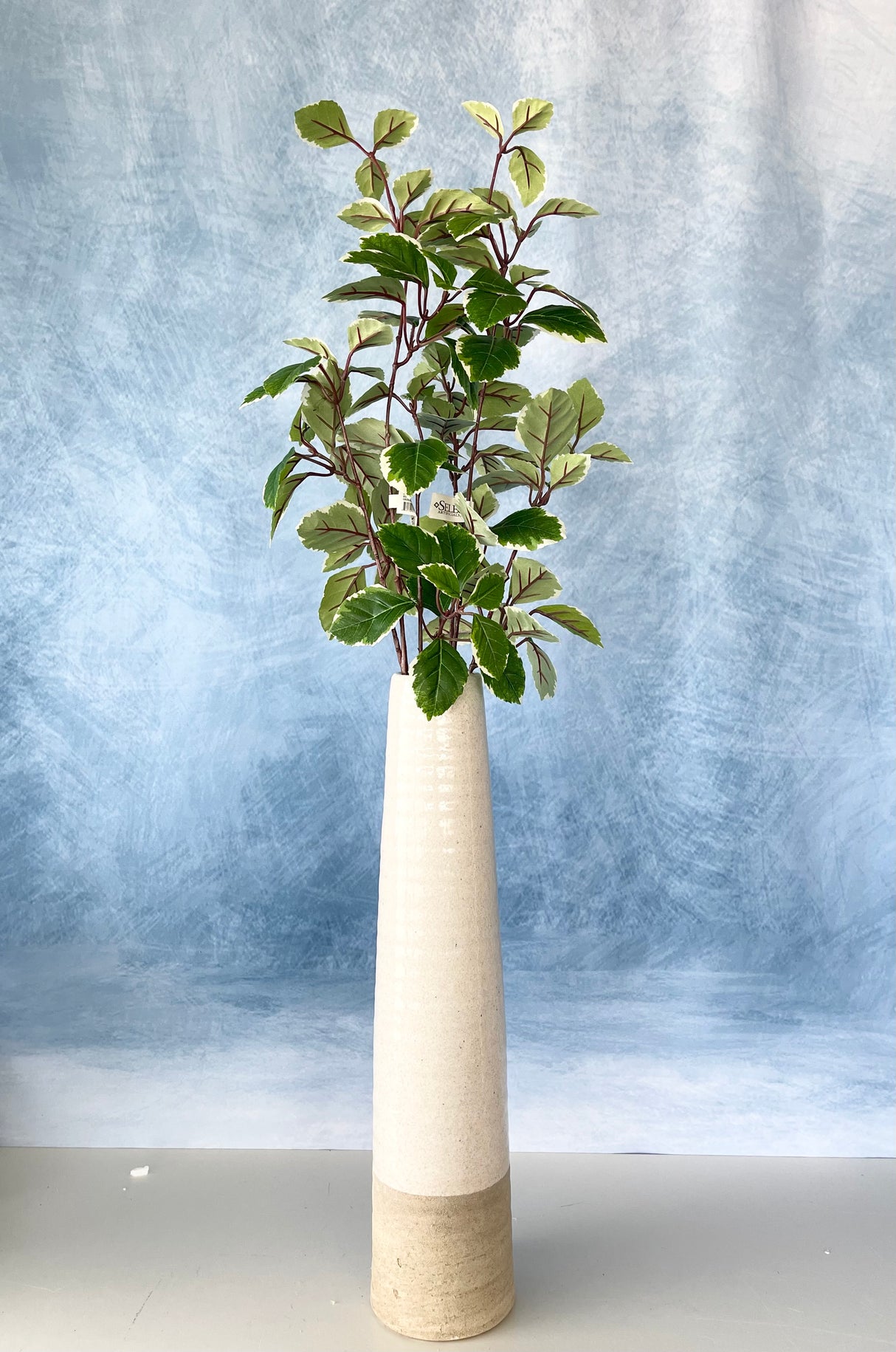 Concord Euonymus Leaves Spray