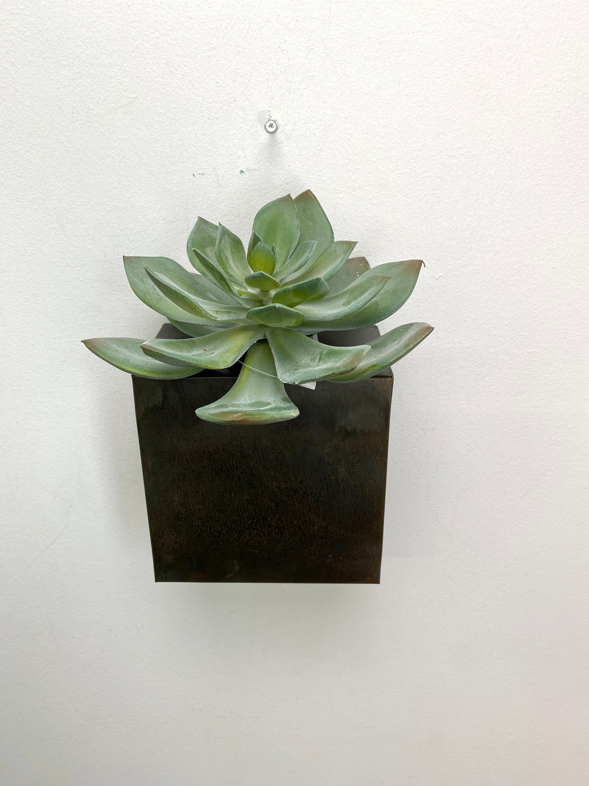 5" Iron Wall Planter