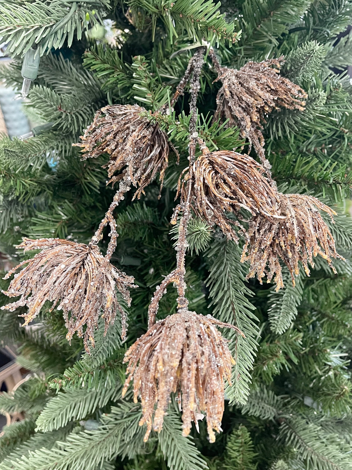 Brown Iced Thistle Spray