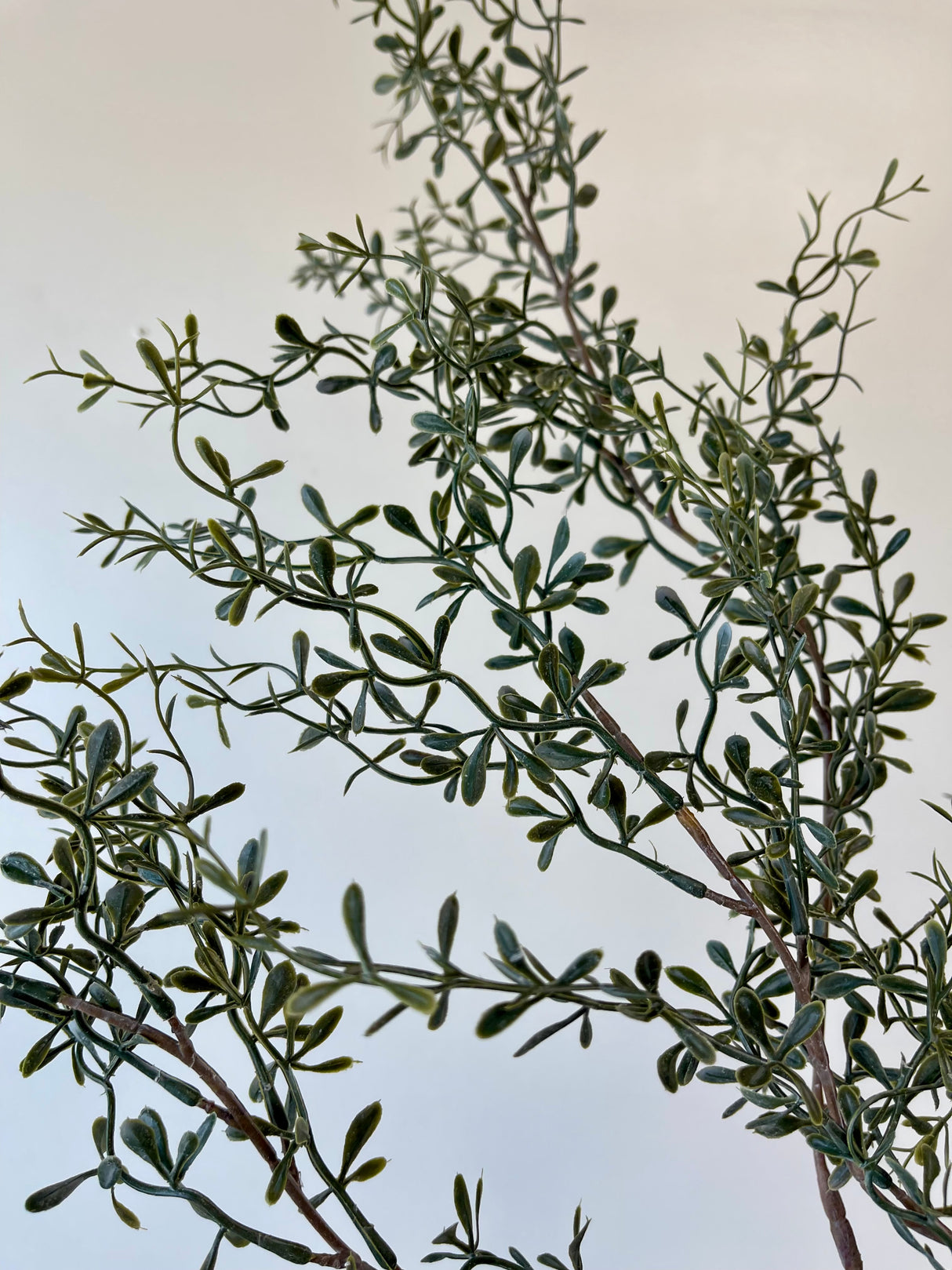 Green Lacewing Leaves Spray