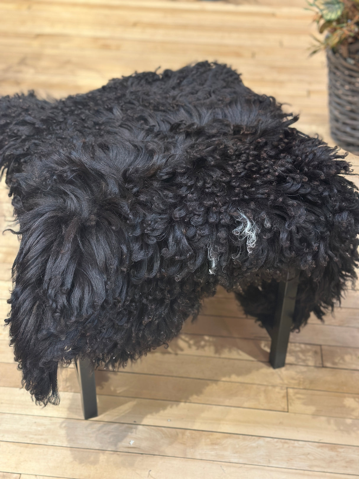 Curlyskin Spotted Melange Rug