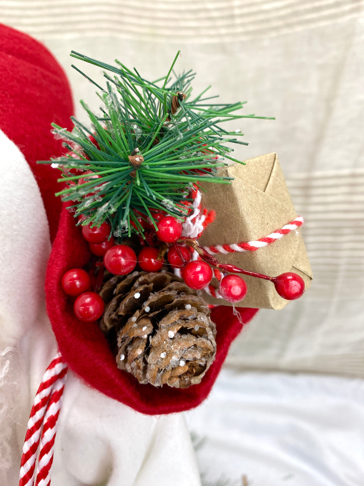 Cozy Christmas Santa