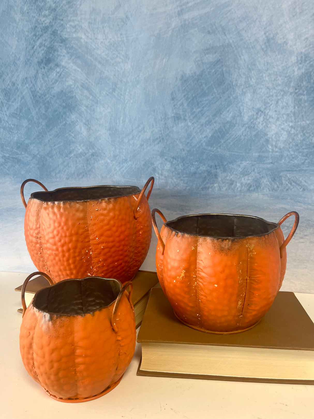 Pumpkin Planters -3 Sizes