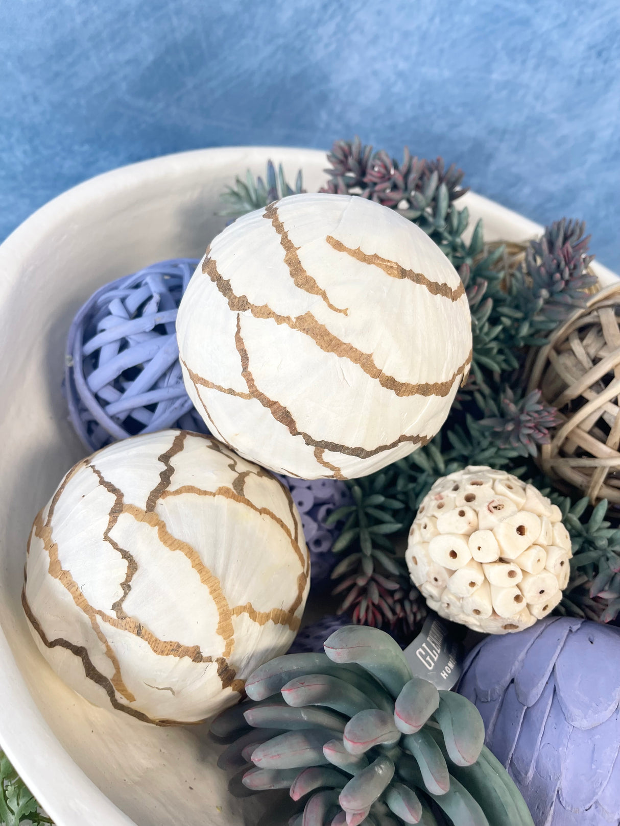 Dried Exotics Orbs Bag - 5 Colors