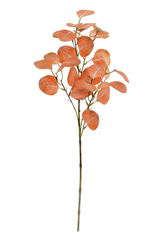 Rust Smoketree Leaf Spray