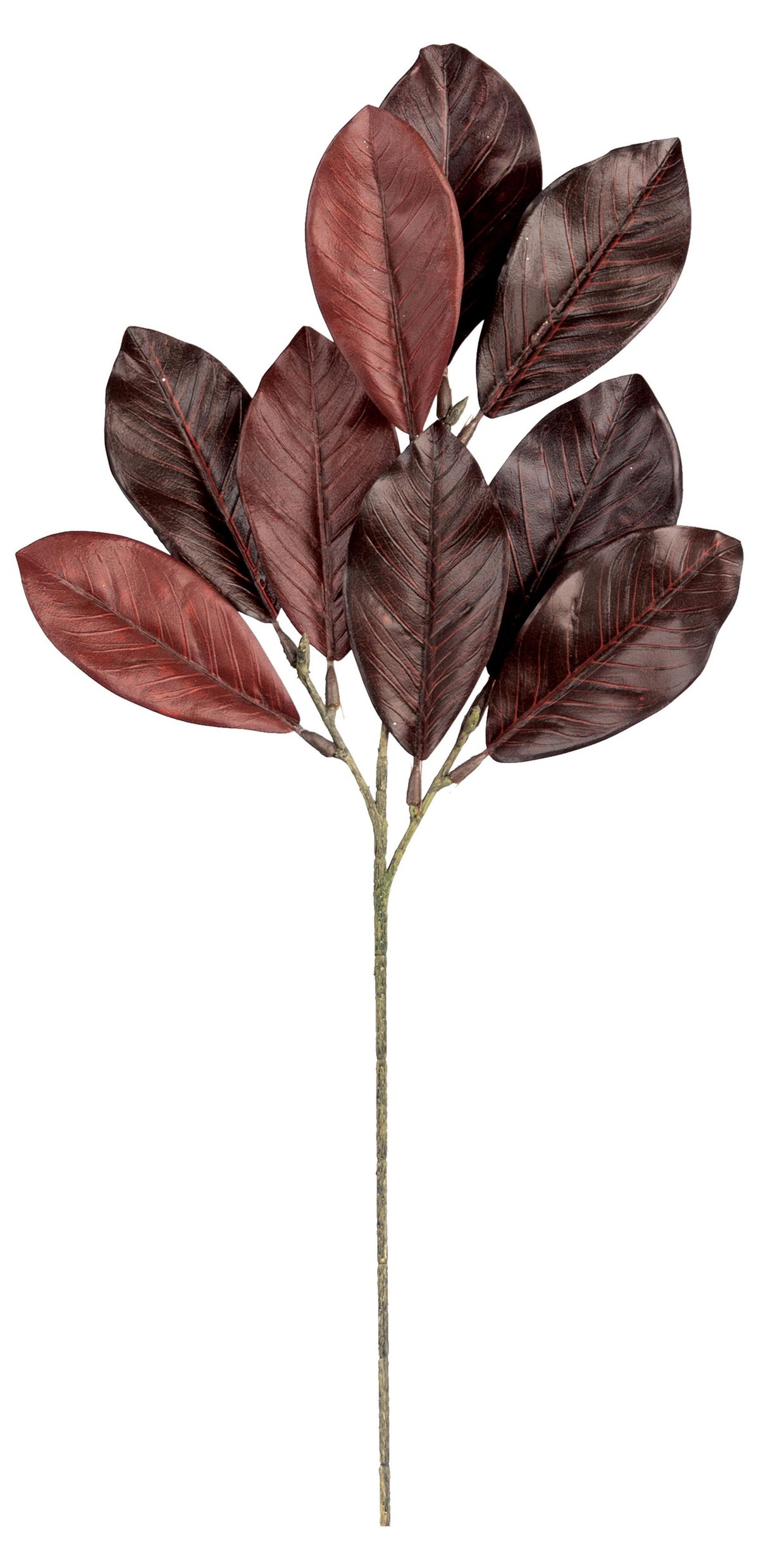 Burgundy Magnolia Leaf Spray