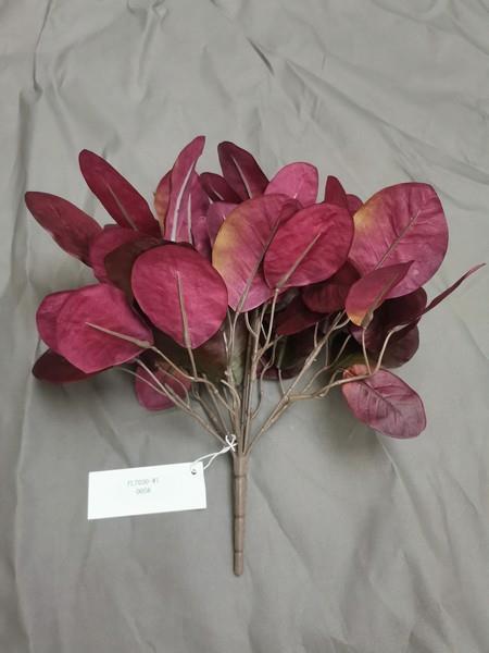 Red Cotinus Leaf Bush