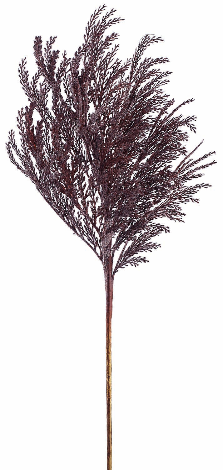 Dark Brown Pampas Grass Spray