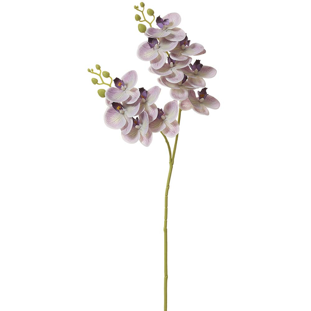 Light Purple Orchid Spray