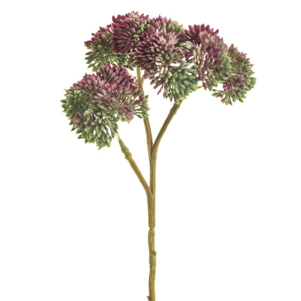 Mauve Mix Sedum Pick