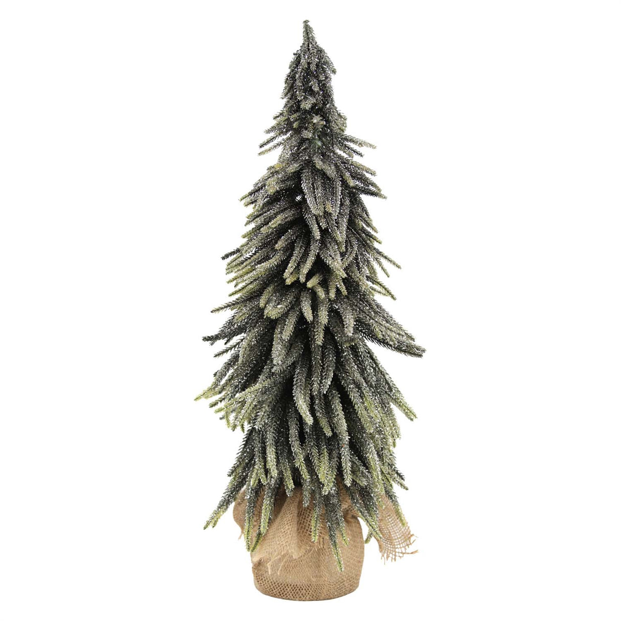 24" Golden Sparkle Spruce Tree