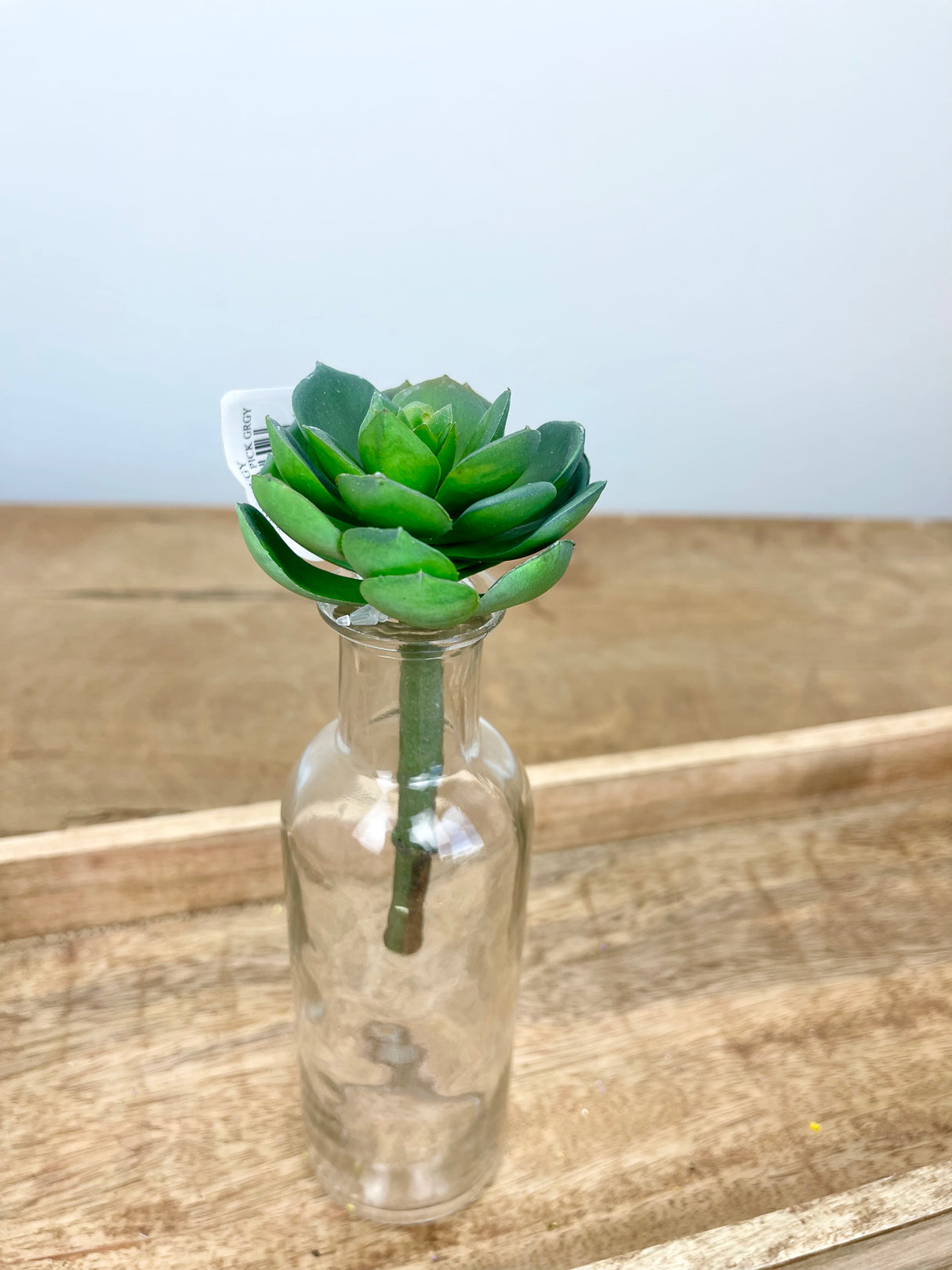 Blue Gray Real Touch Echeveria Pick