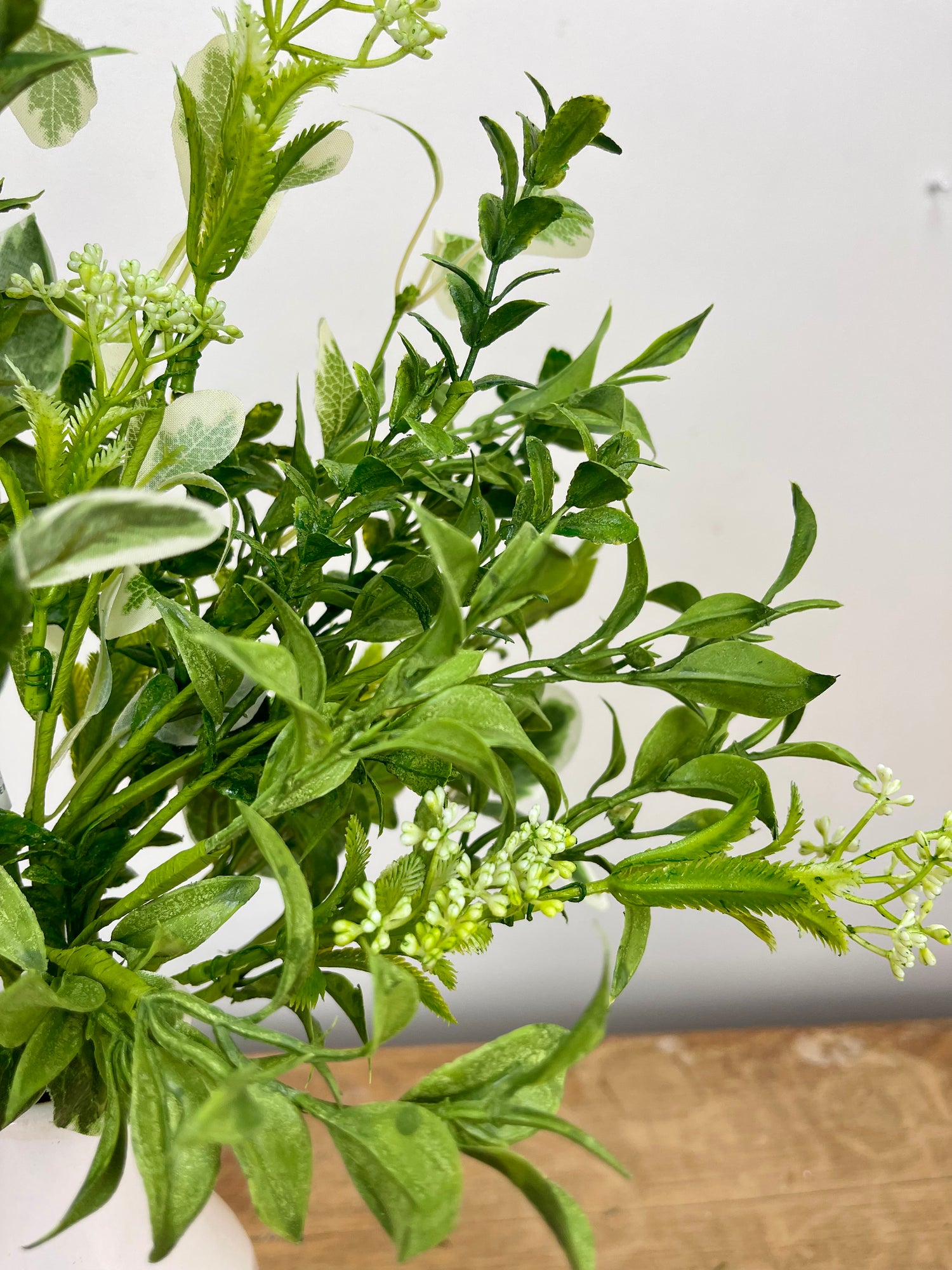 Blooming Foliage Bush