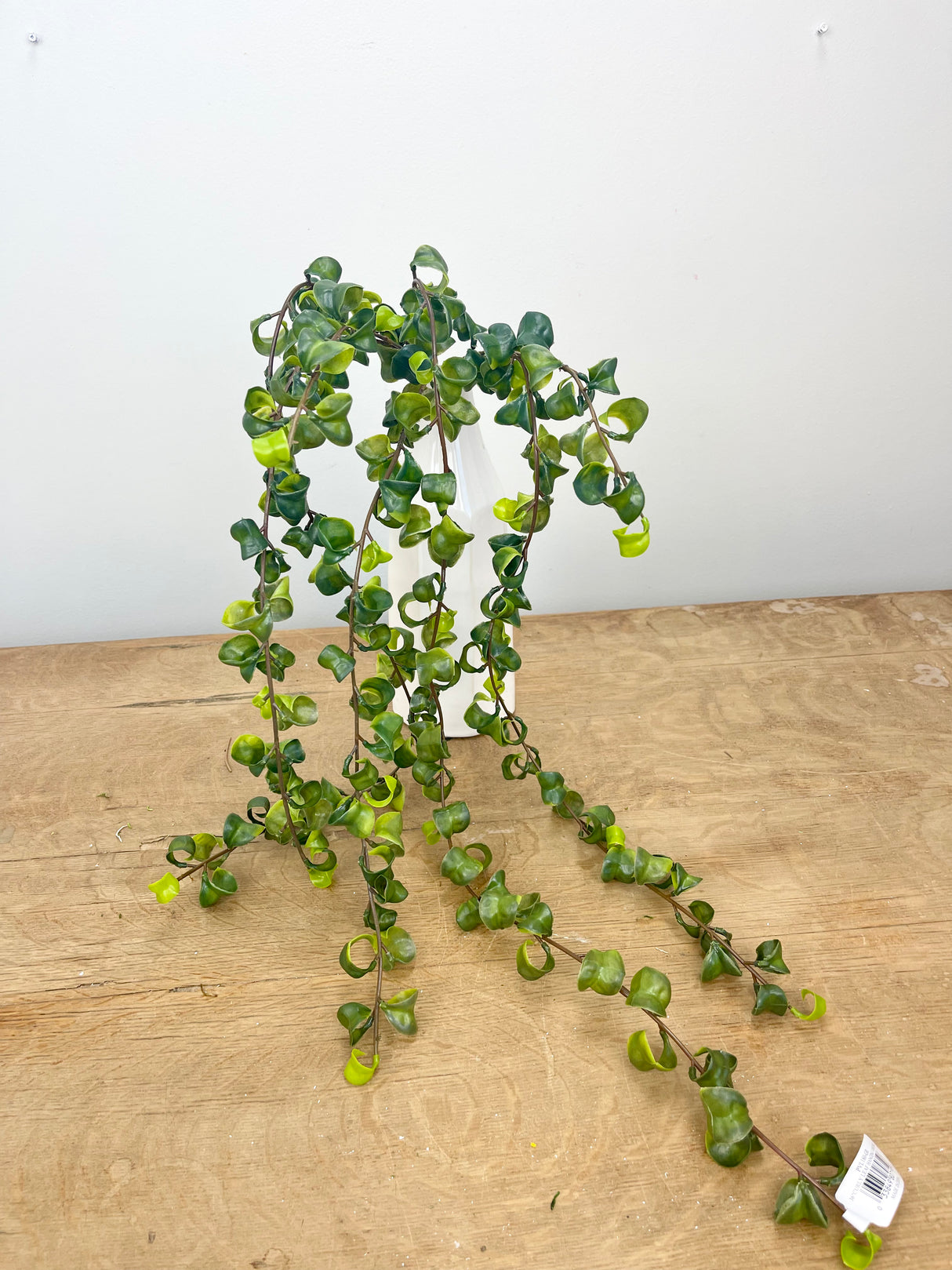 Curly Leaf Hanging Vine