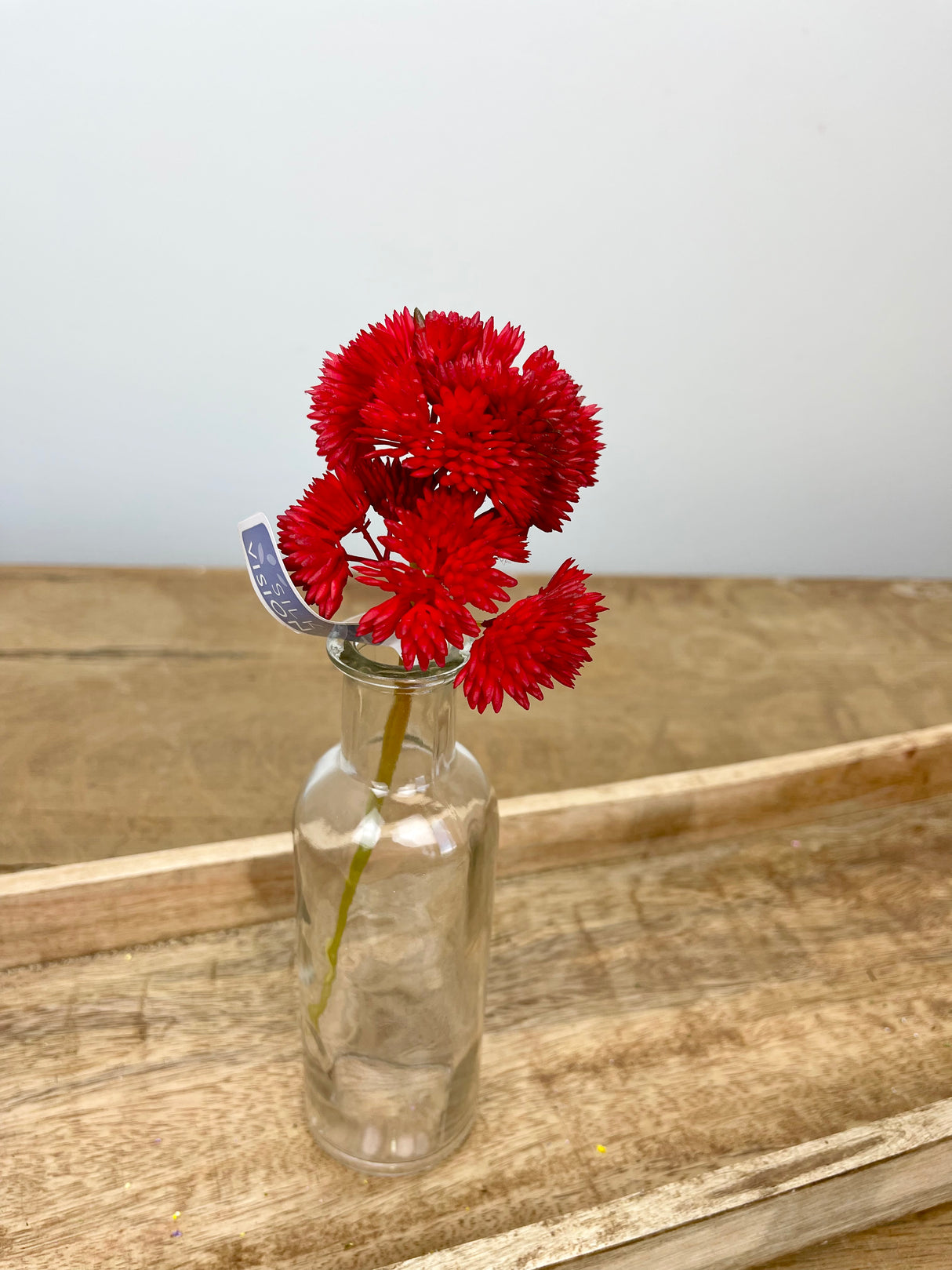 Red Sedum Succulent Pick