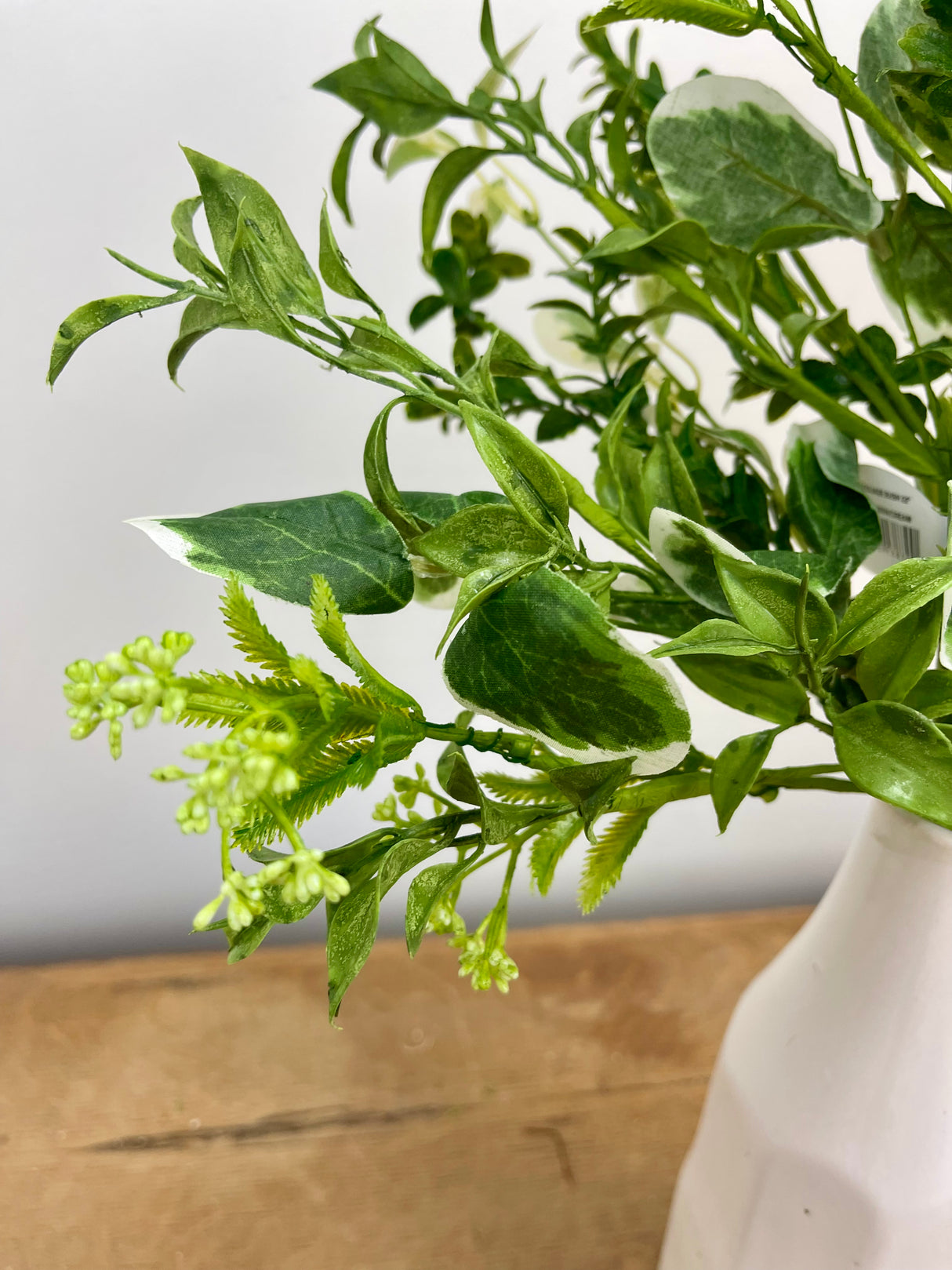 Blooming Foliage Bush