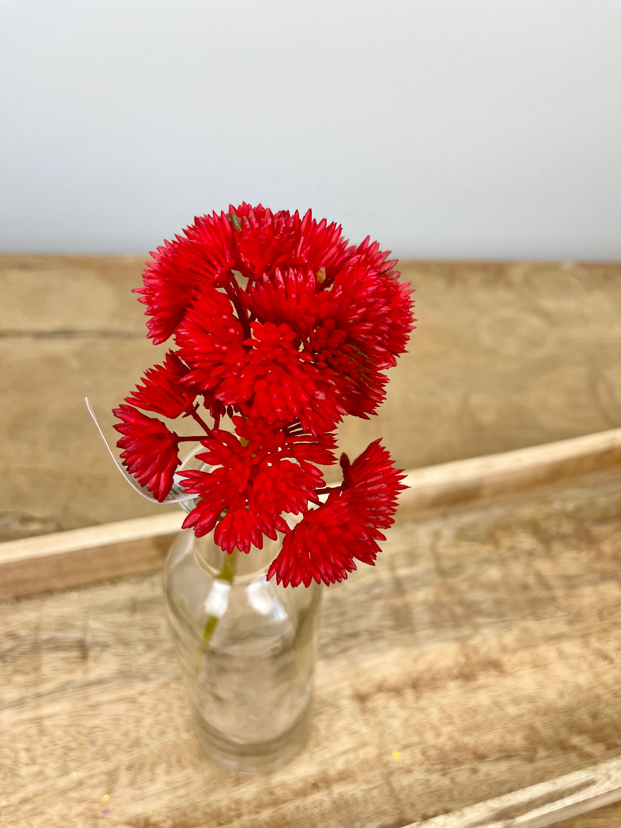 Red Sedum Succulent Pick
