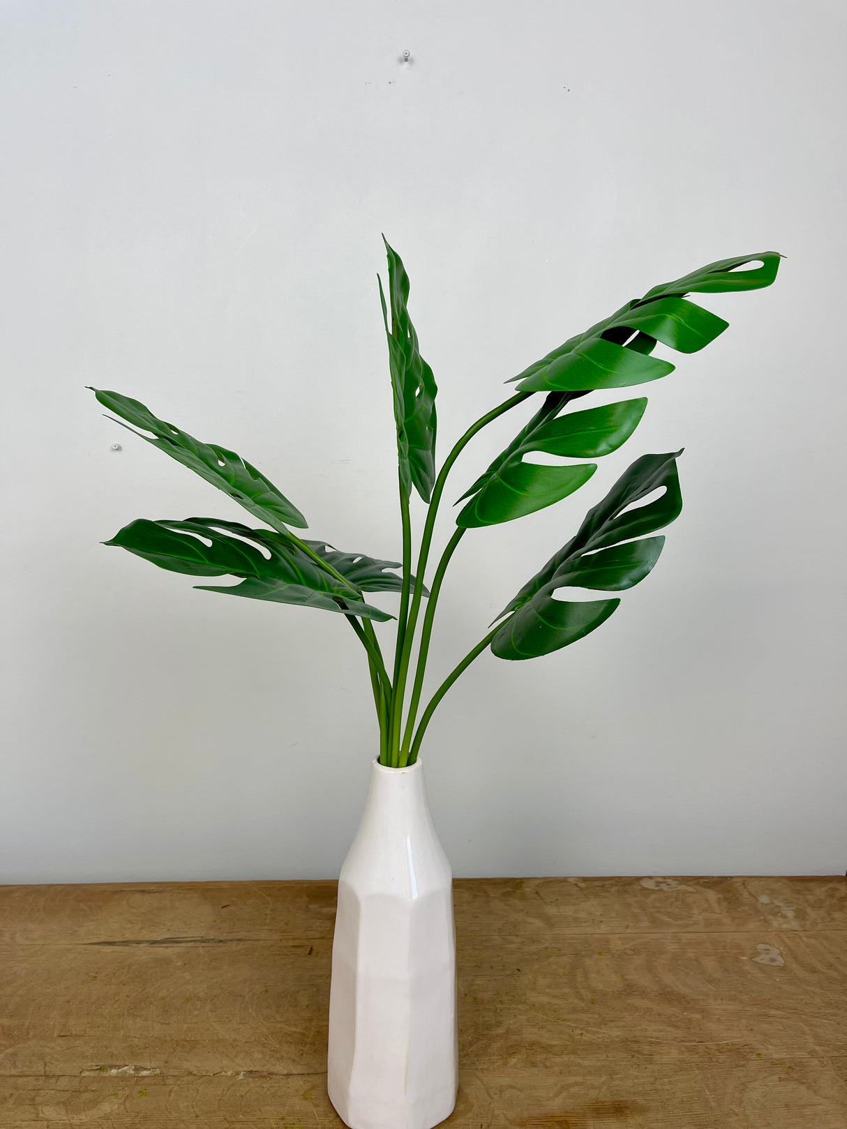Monstera Leaf Bush